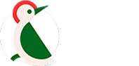 TapTap Send